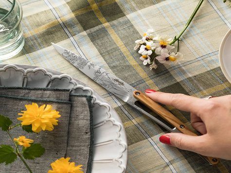 6 Deejo de table Prestige, Olivier / Toile de Jouy